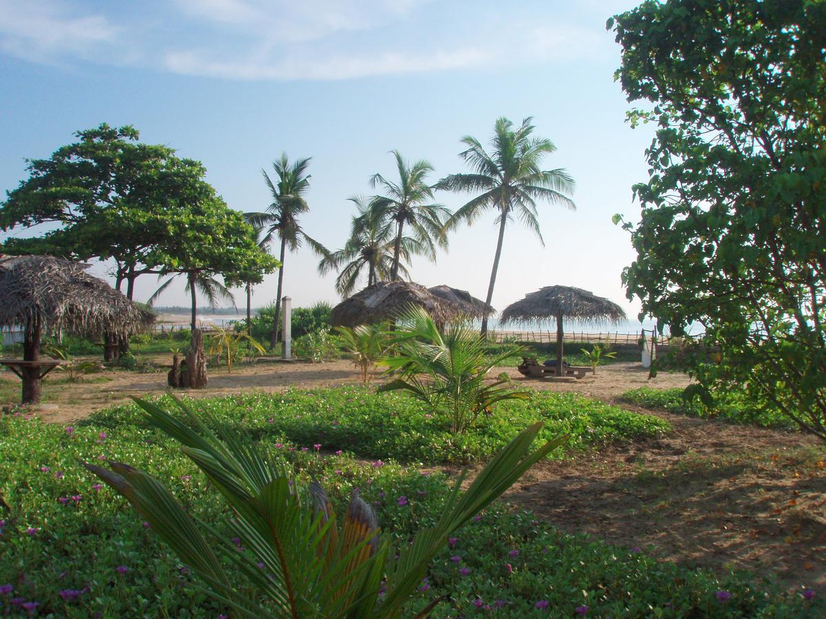 Stardust Beach Hotel Arugam Bay Esterno foto