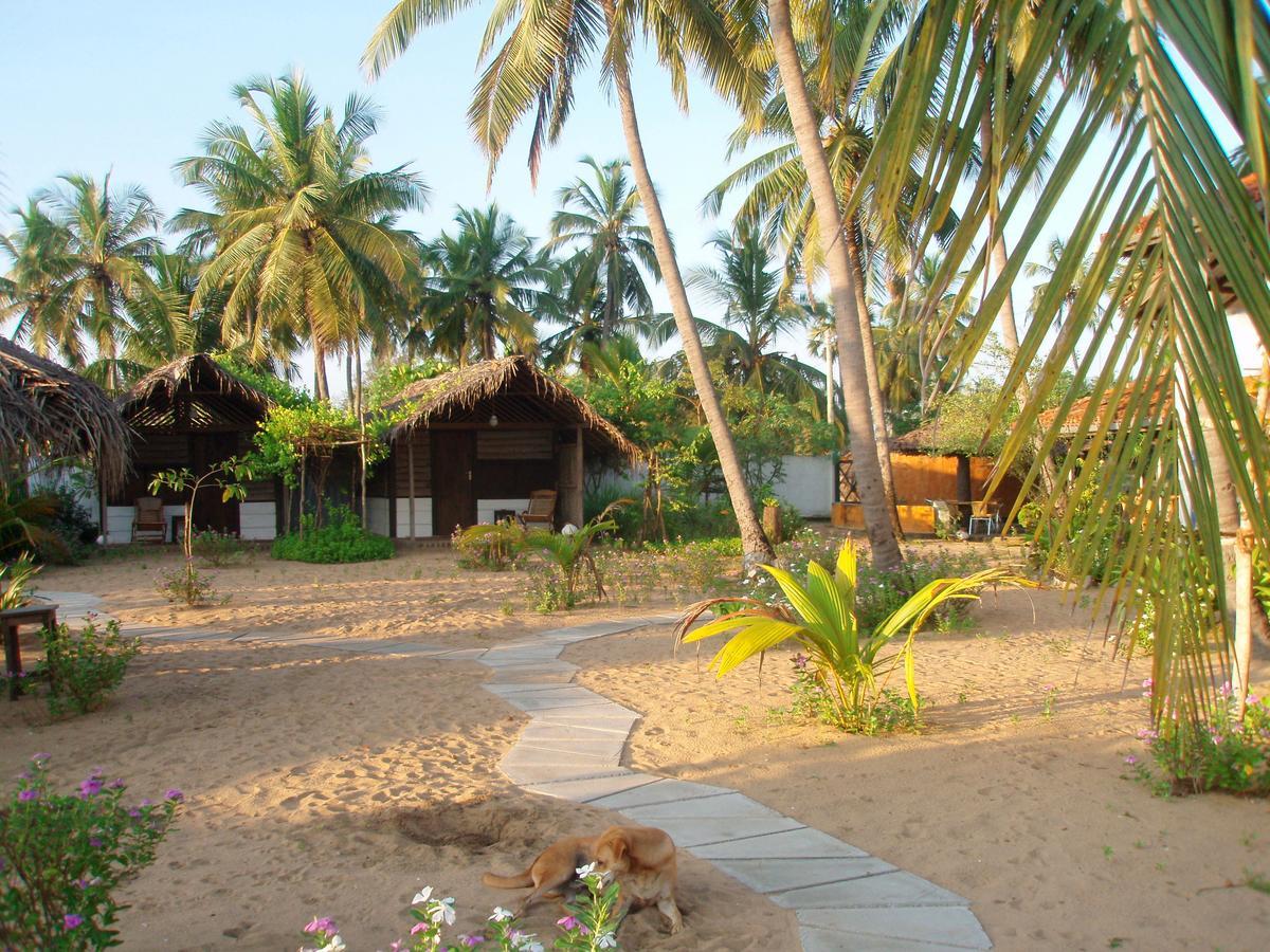 Stardust Beach Hotel Arugam Bay Esterno foto